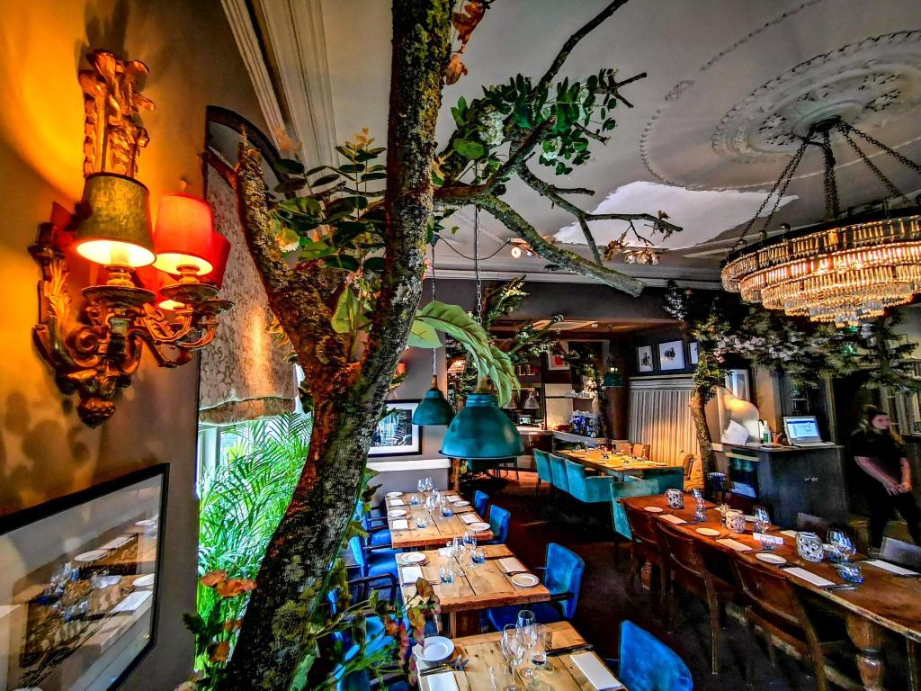Ox Hotel Bar & Grill - Restaurant