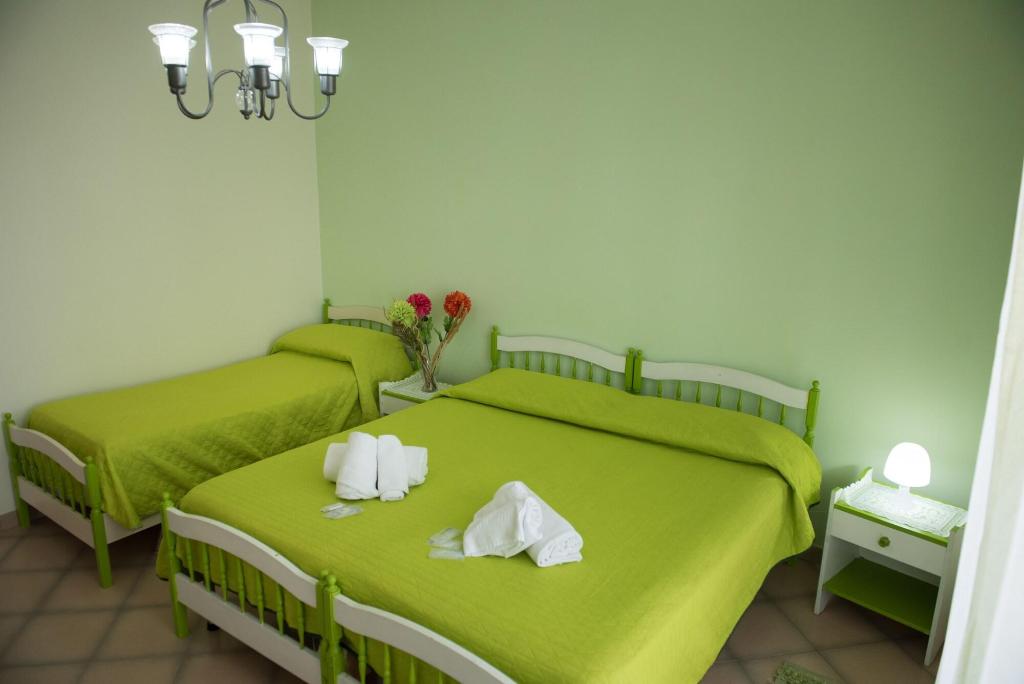 Area Domus