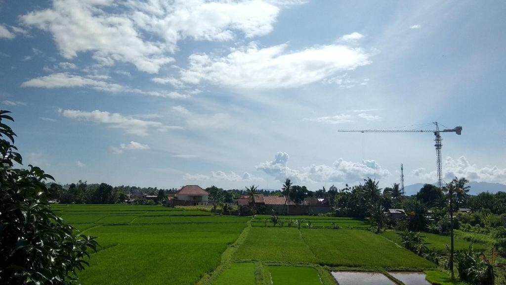 De Lungguh Family Homestay