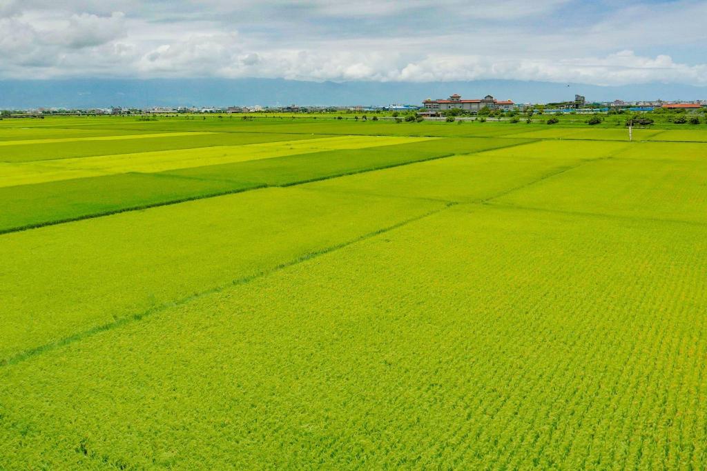 Wudai Homestay
