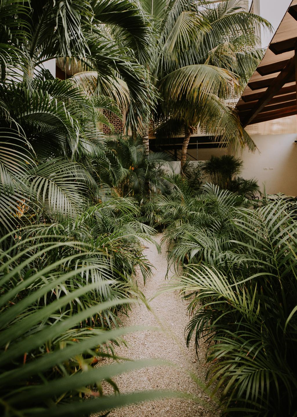 Hotel The Strabon Tulum, Mexiko, Tulum. Großes 10