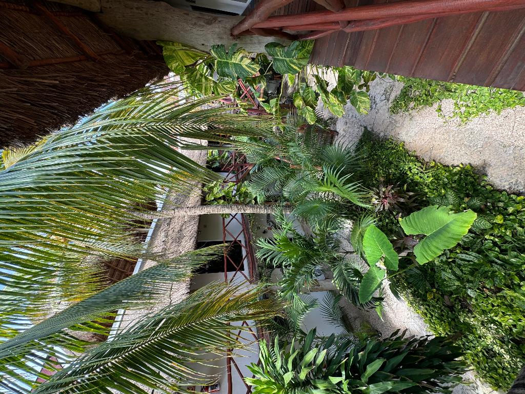 Hotel Kin Ha Tulum Hotel, Mexiko, Tulum. Großes 26