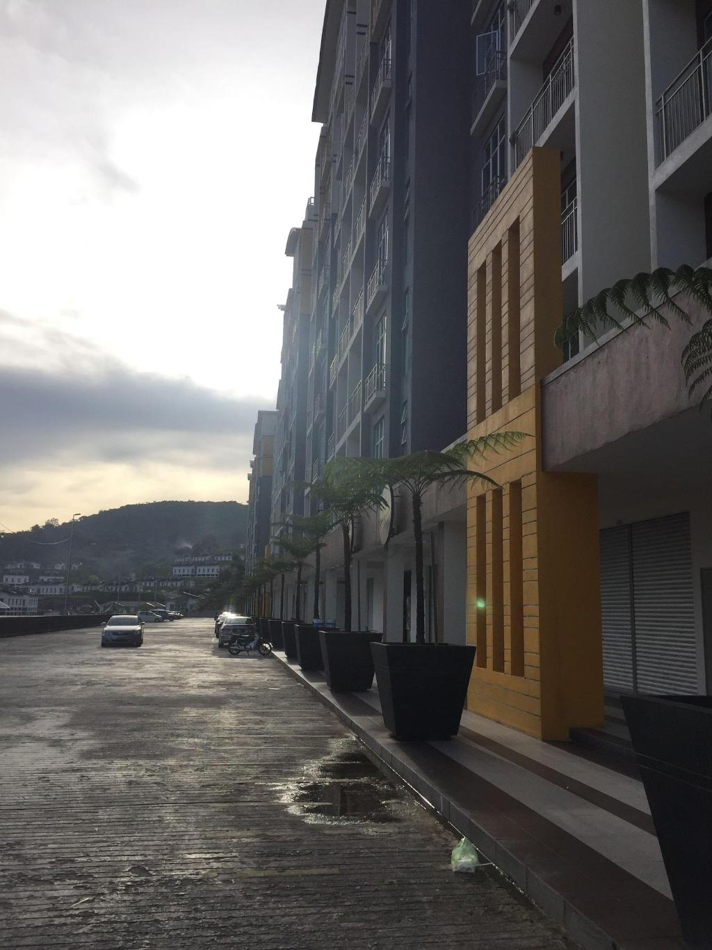 Blue Romance 2 Cameron Highlands