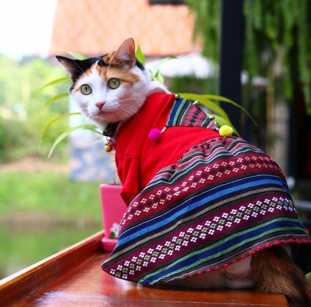 Baan Suan Him Doi