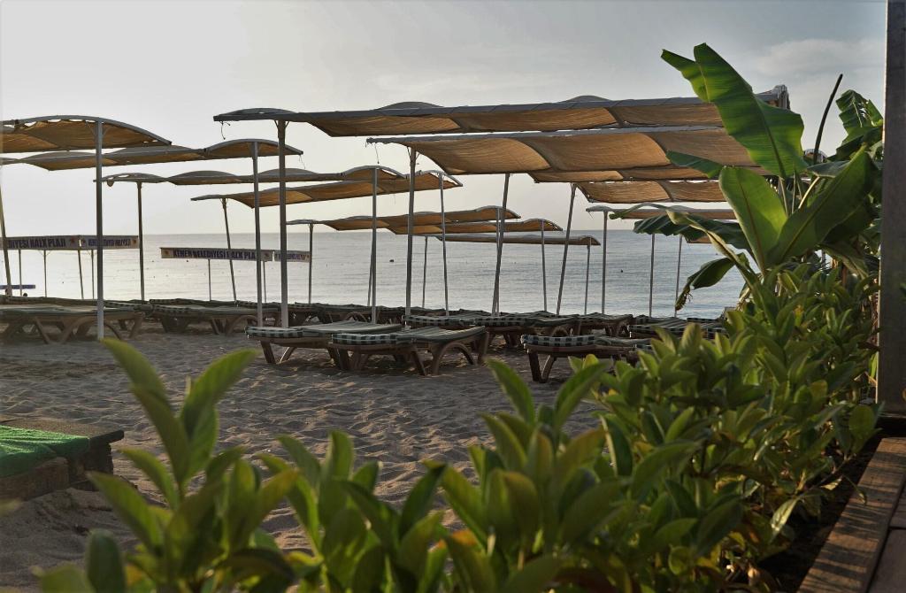 Monna Roza Garden Resort Hotel All Inclusive sonfiyat com
