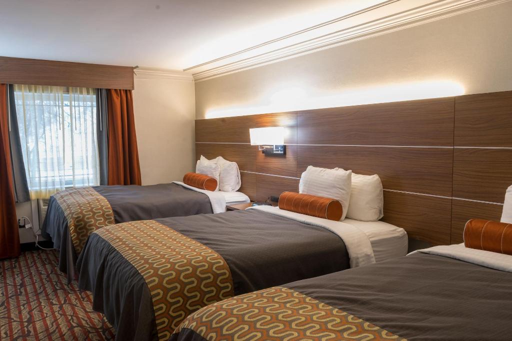Kalika Hotel