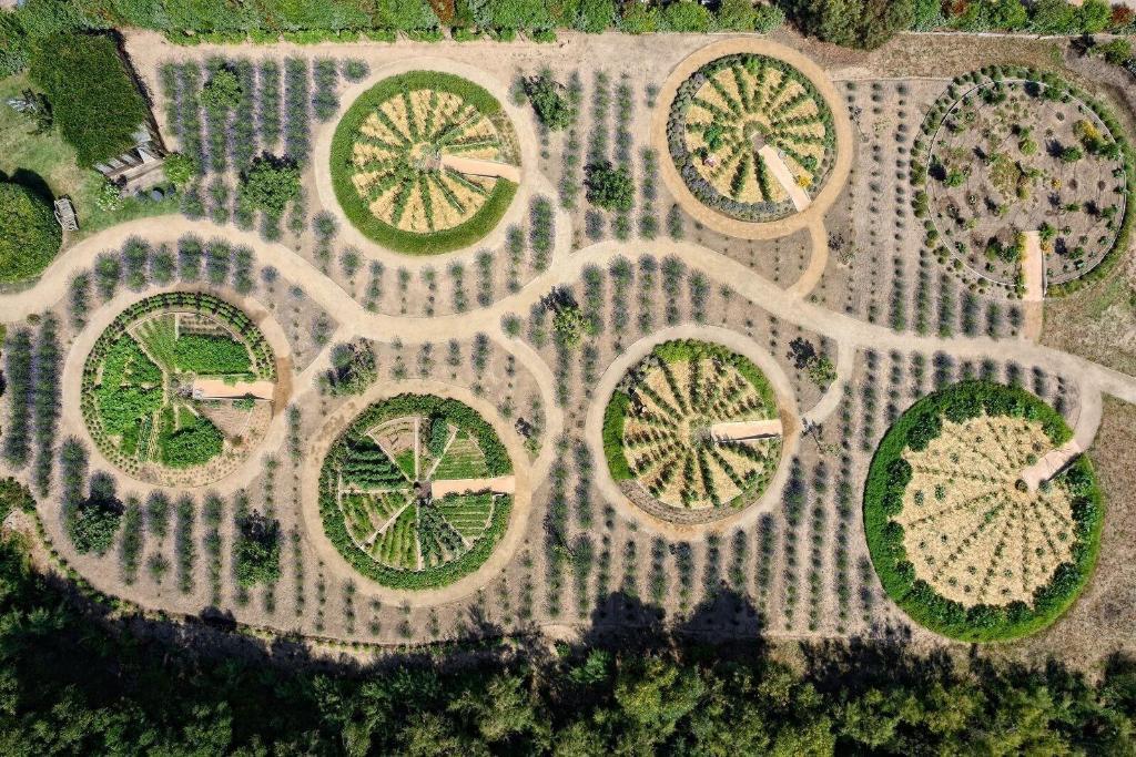 Grand Hotel De Cala Rossa And Spa