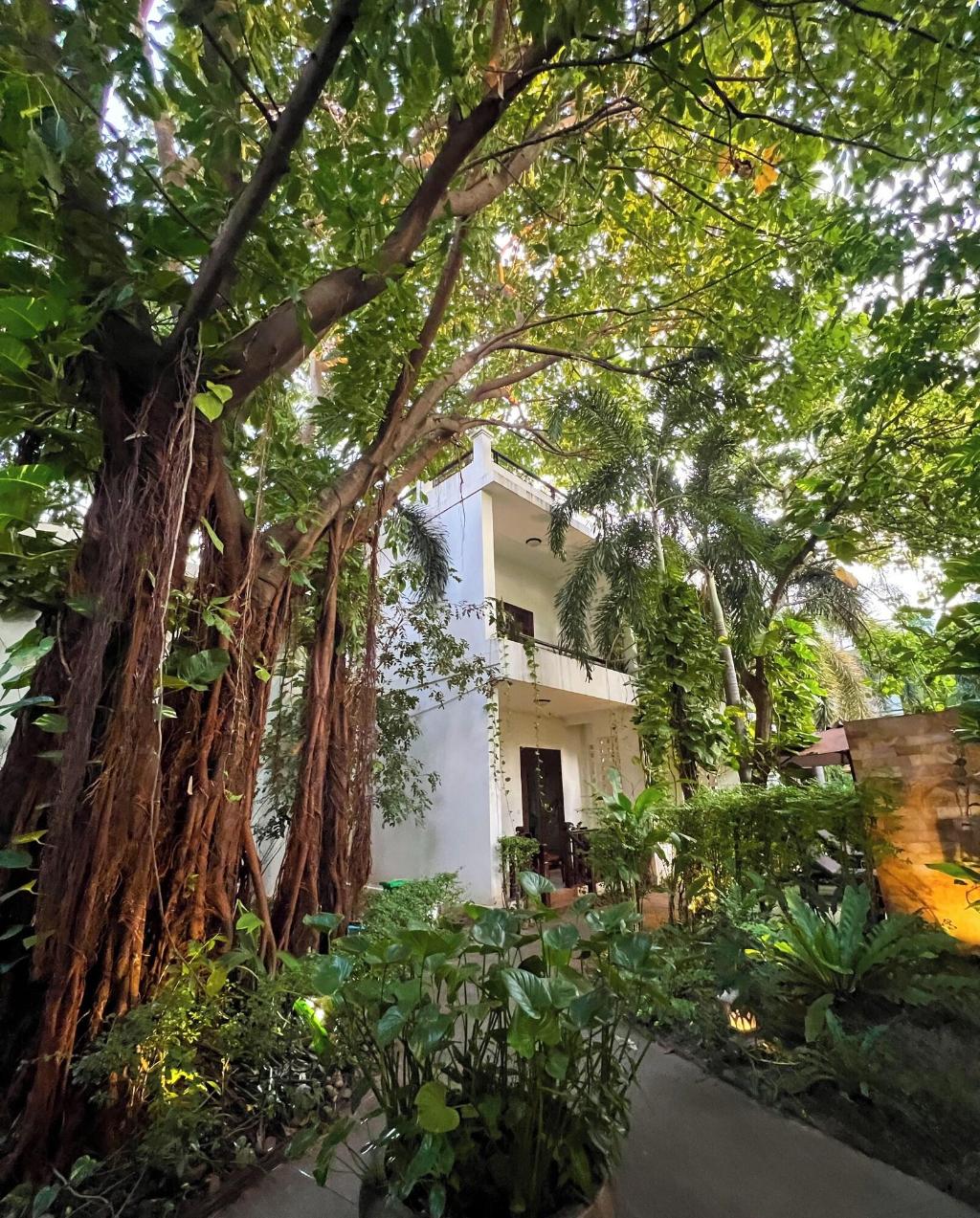 The Moon Residence & Spa