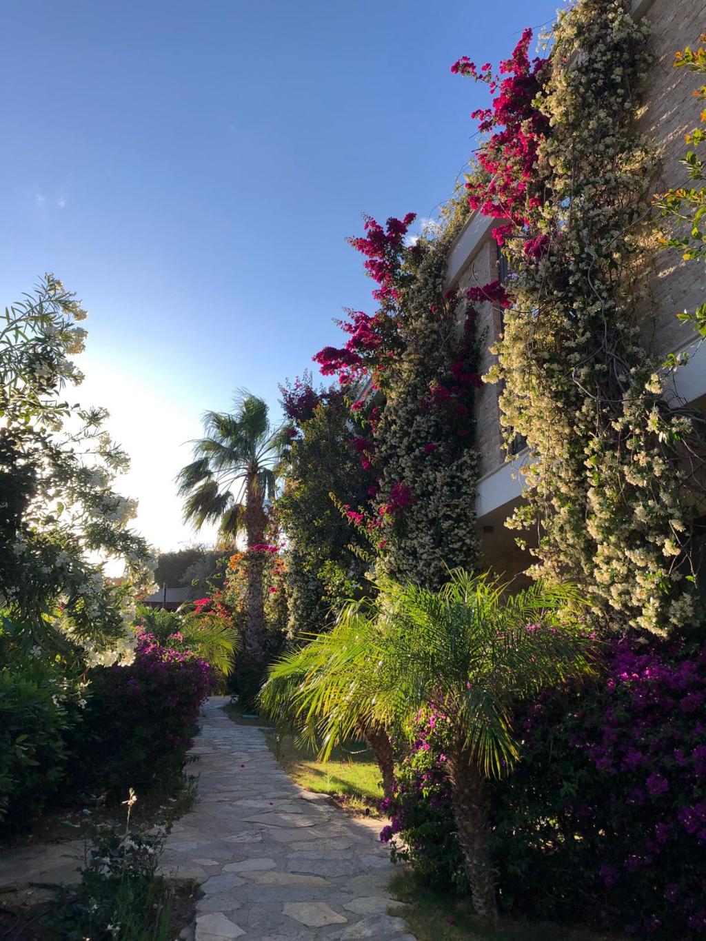 Hotel Spektr Boutique Hotel Yalikavak, Türkei, Yalikavak. Großes 49