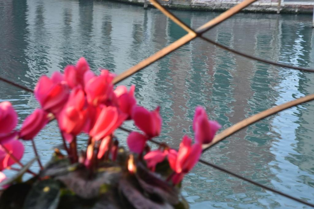 B&B Vista sul Canal Grande
