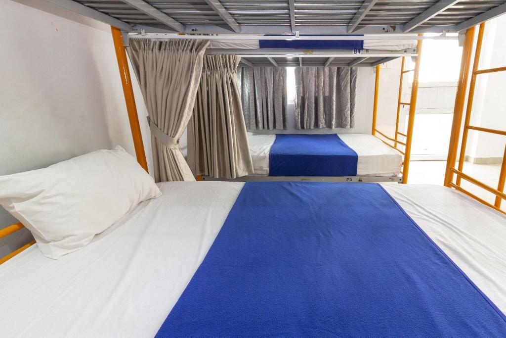 The Art - SaiGon Gao Hostel
