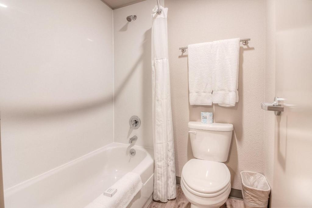 The Hotel Y