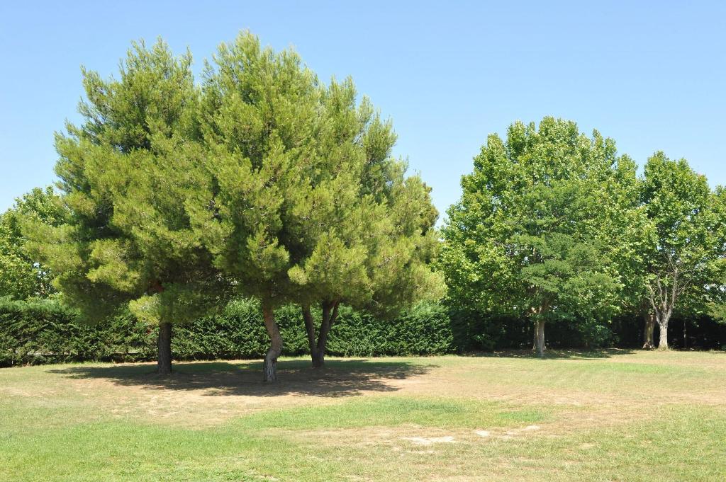 Aeroport Hotel - Parc Expo