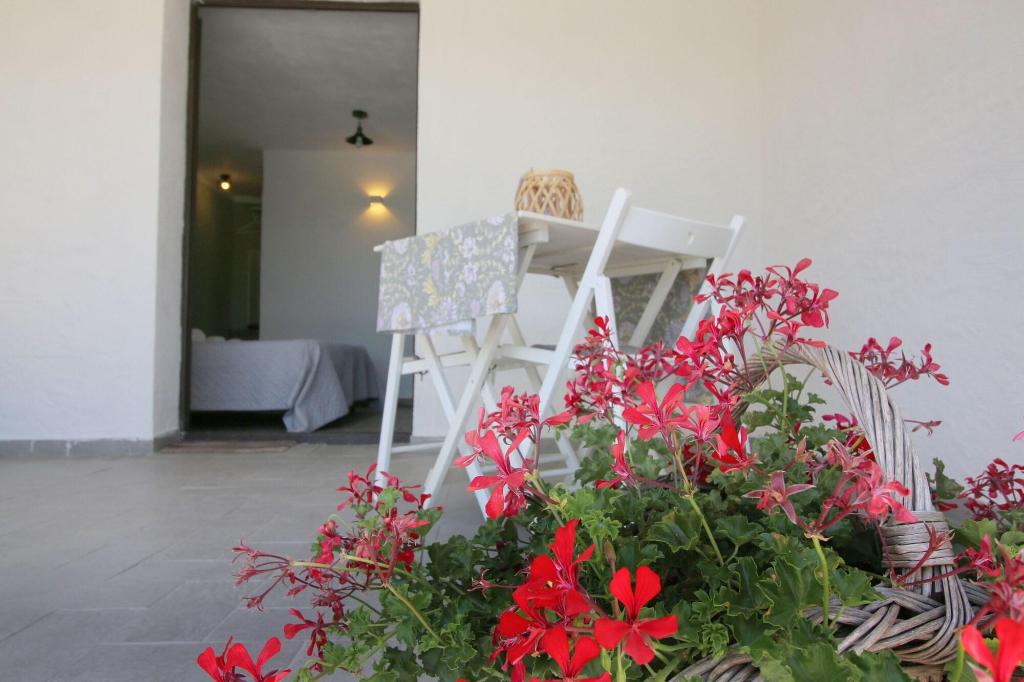 B&B Anacleto