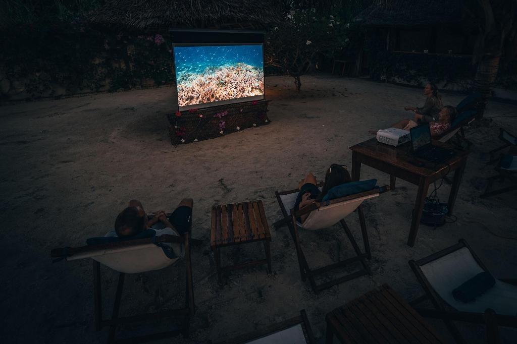 White Paradise Zanzibar