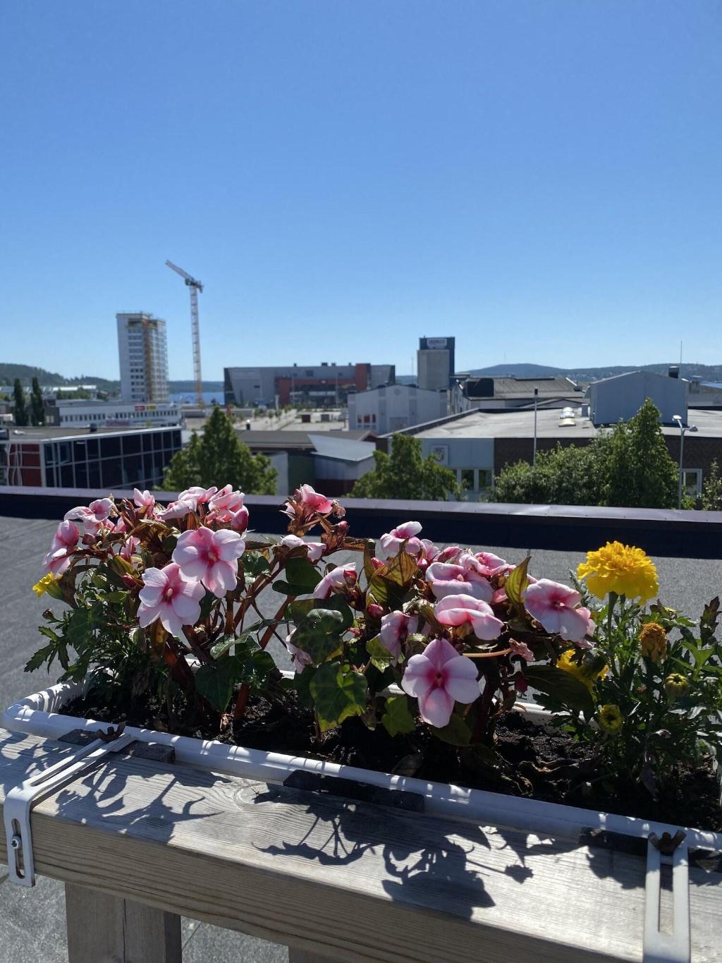 Strand City Hotell