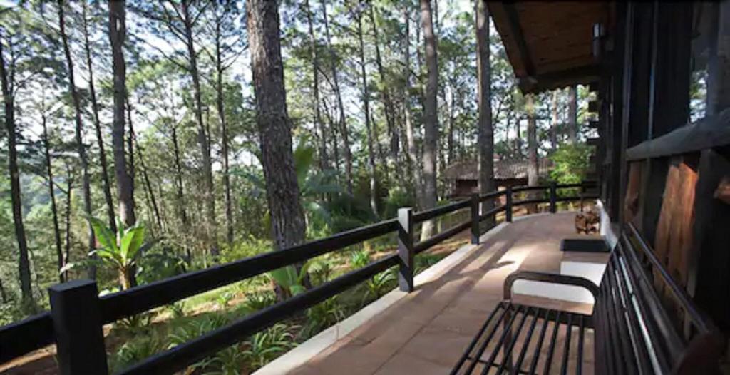 Monteverde Hotel de Cabañas