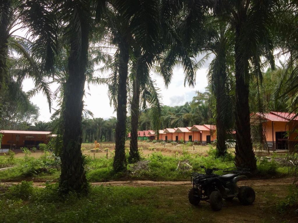 Khao Sok Evergreen House