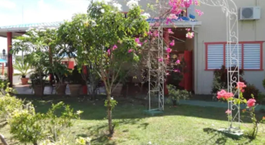 Aracari Hotel Guyana