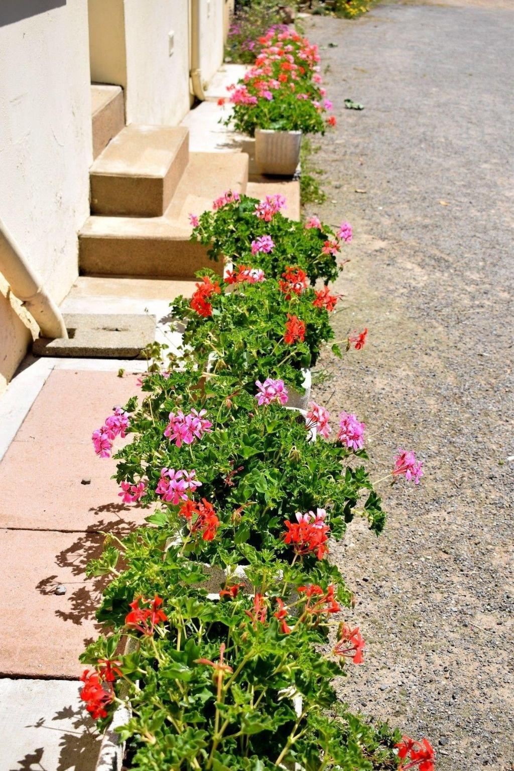 Chambres Dhotes Moulin Du Couedic