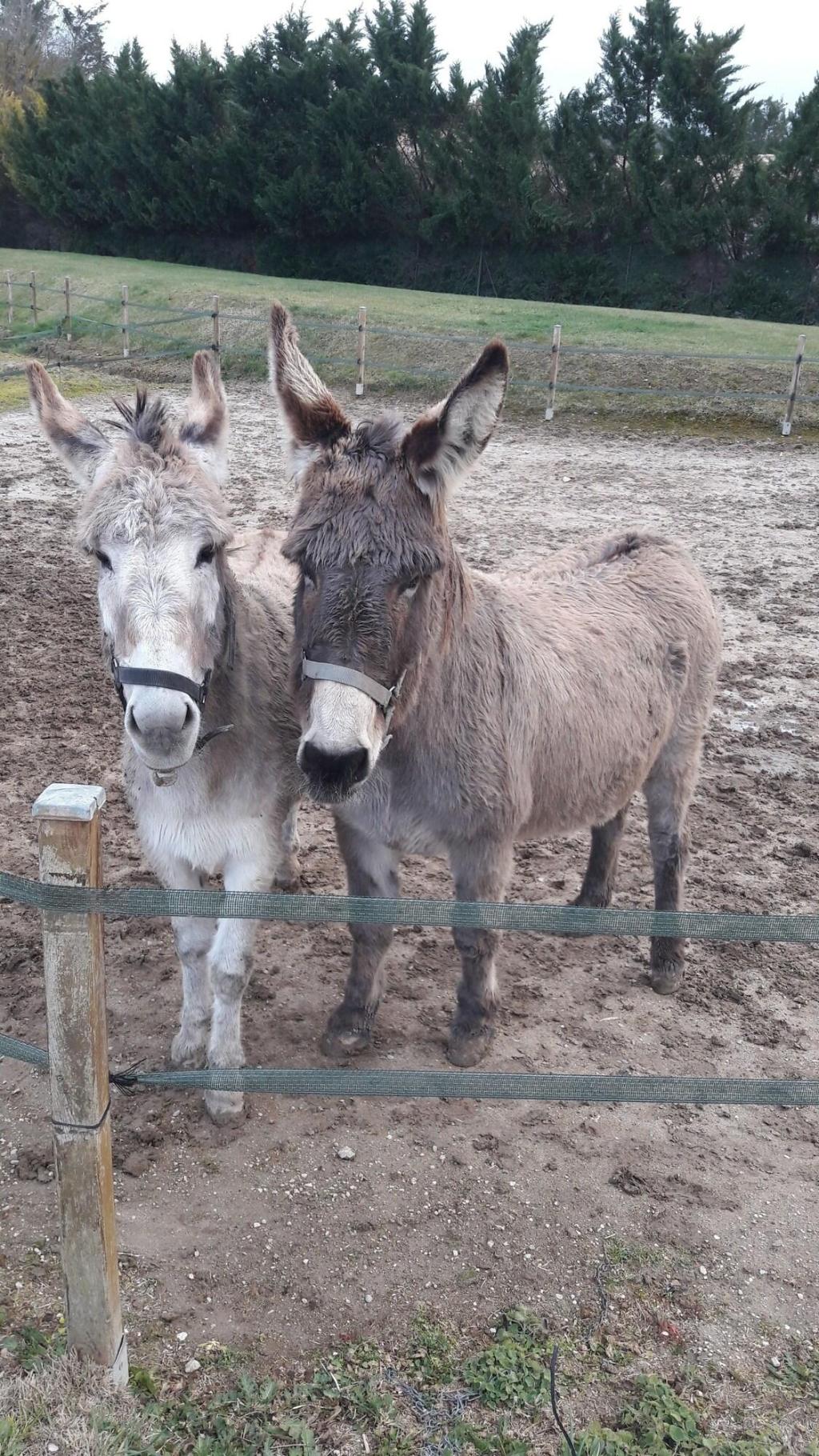 Maison D'hotes De La Milane