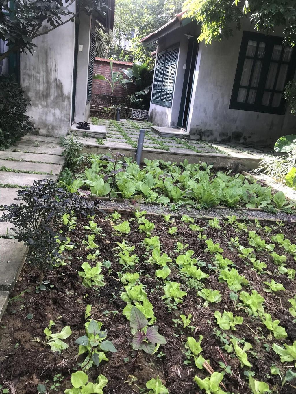 Tam Coc Eco House