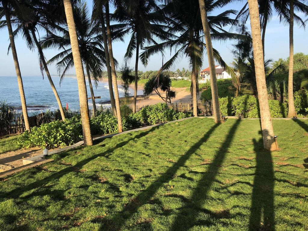 Turtle Bay