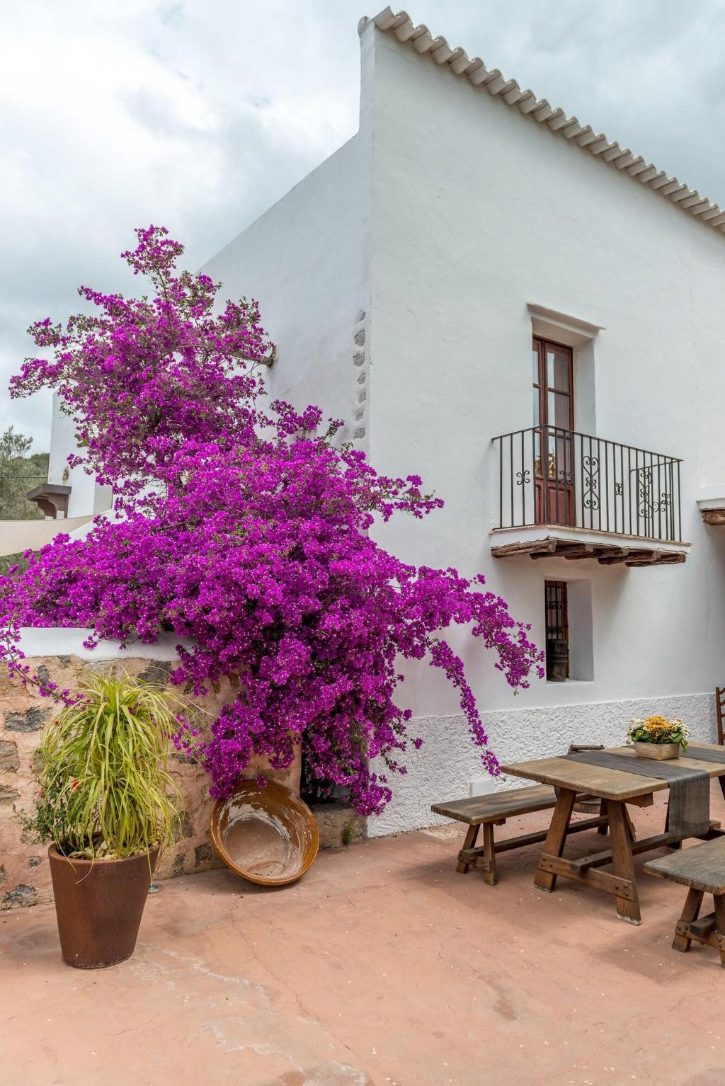Hotel Agroturismo Can Pere Sord, Spanien, Sant Joan de Labritja. Großes 101