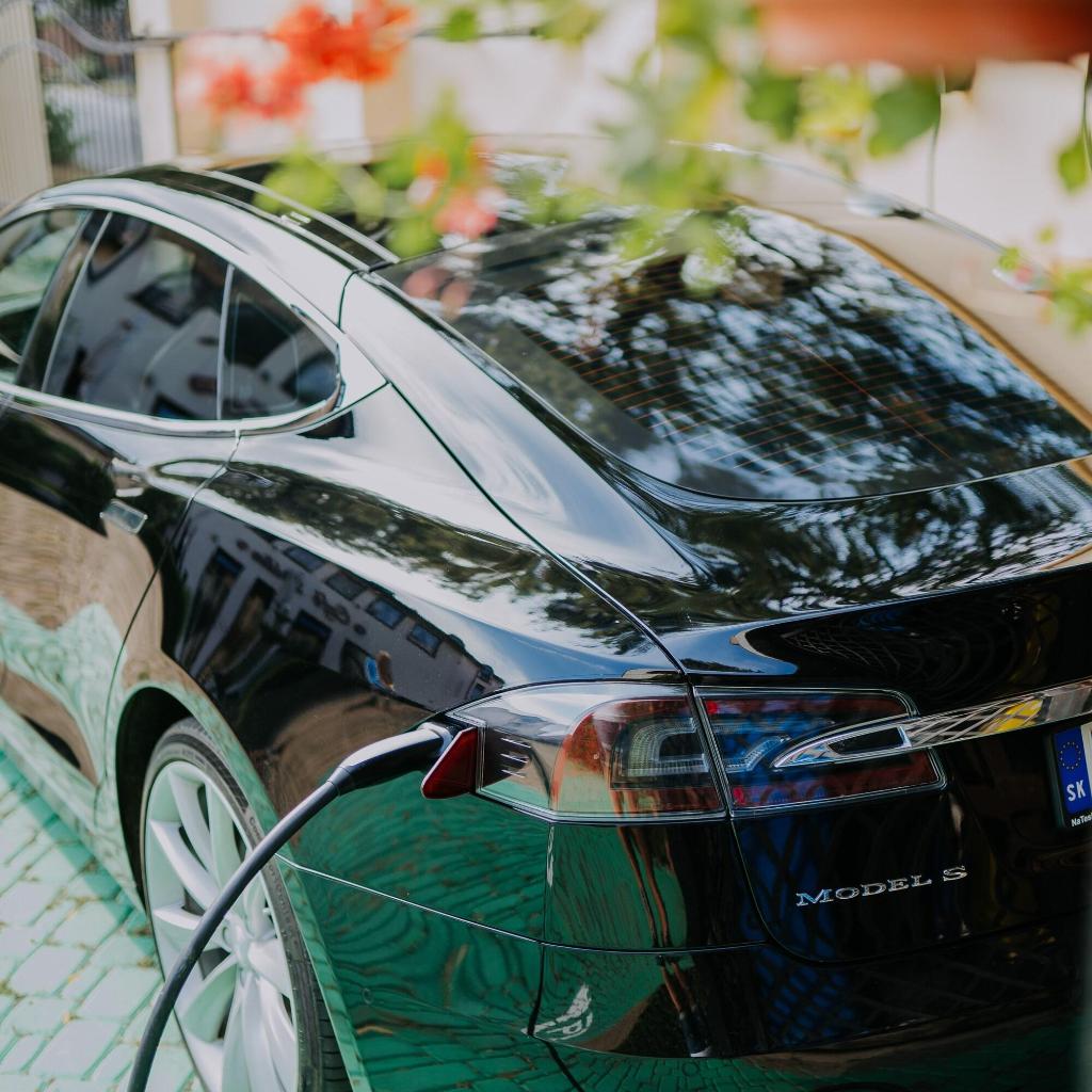 Eco Friendly Hotel Dalia