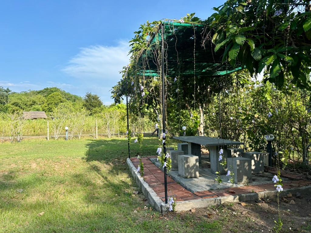 Hotel Moonlight Cottage by ZUZU, Thailand, Insel Phuket. Großes 50