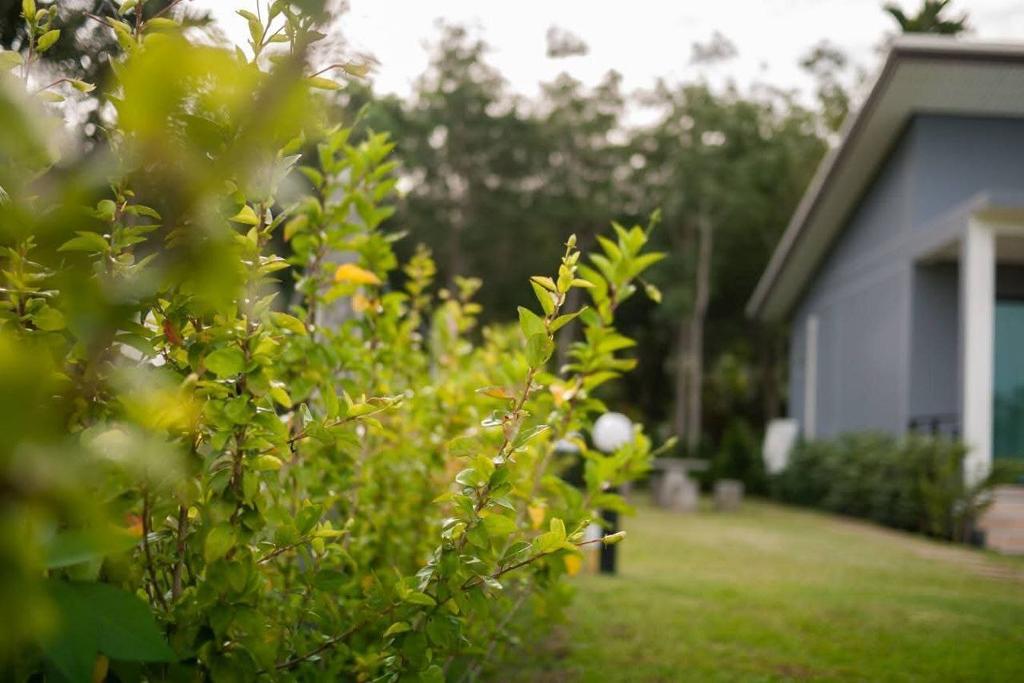 Hotel Moonlight Cottage by ZUZU, Thailand, Insel Phuket. Großes 1