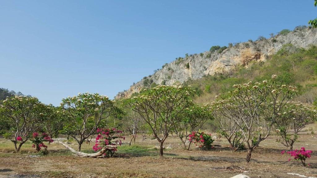 Phurang Hill Resort