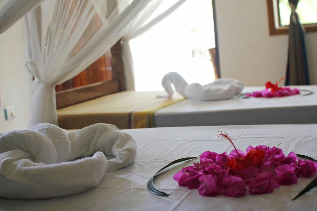 Aya Beach Bungalows