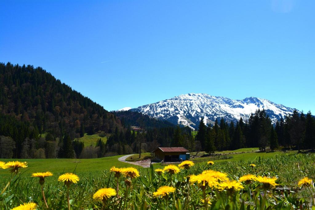 Berg- Und Aktivhotel Edelsberg