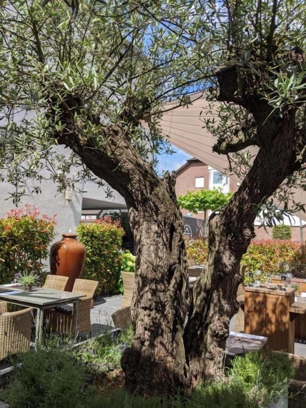 Hotel Und Restaurant Schmachtendorf