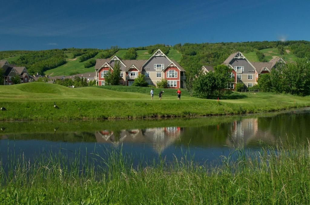 Blue Mountain Resort Home Collection