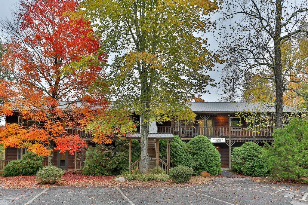 Forrest Hills Mountain Resort