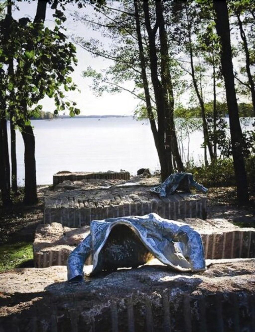 Hanasaari-Hanaholmen