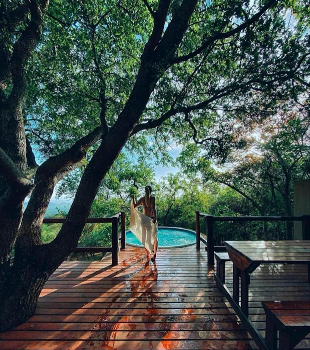 Amafu Forest Lodge
