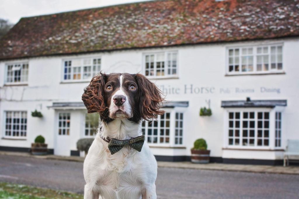 The White Horse