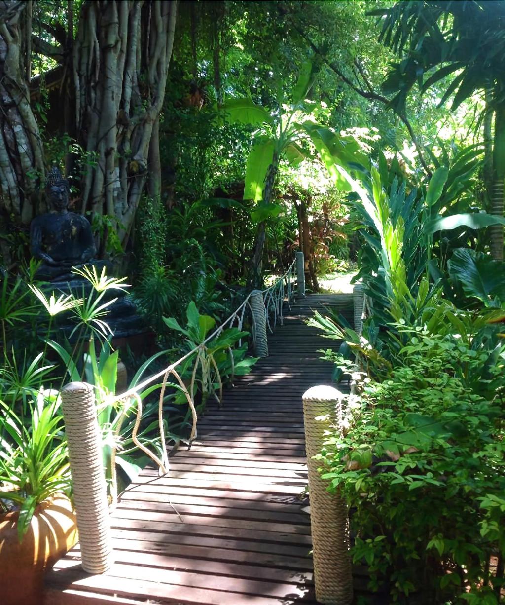 Jungle Bay Resort