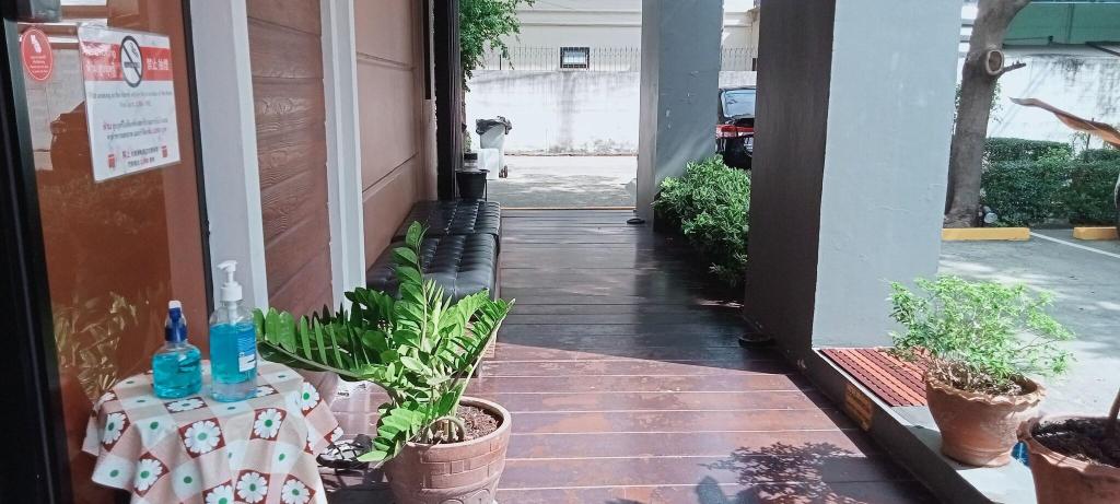 The Bangkok Cha Cha Suite