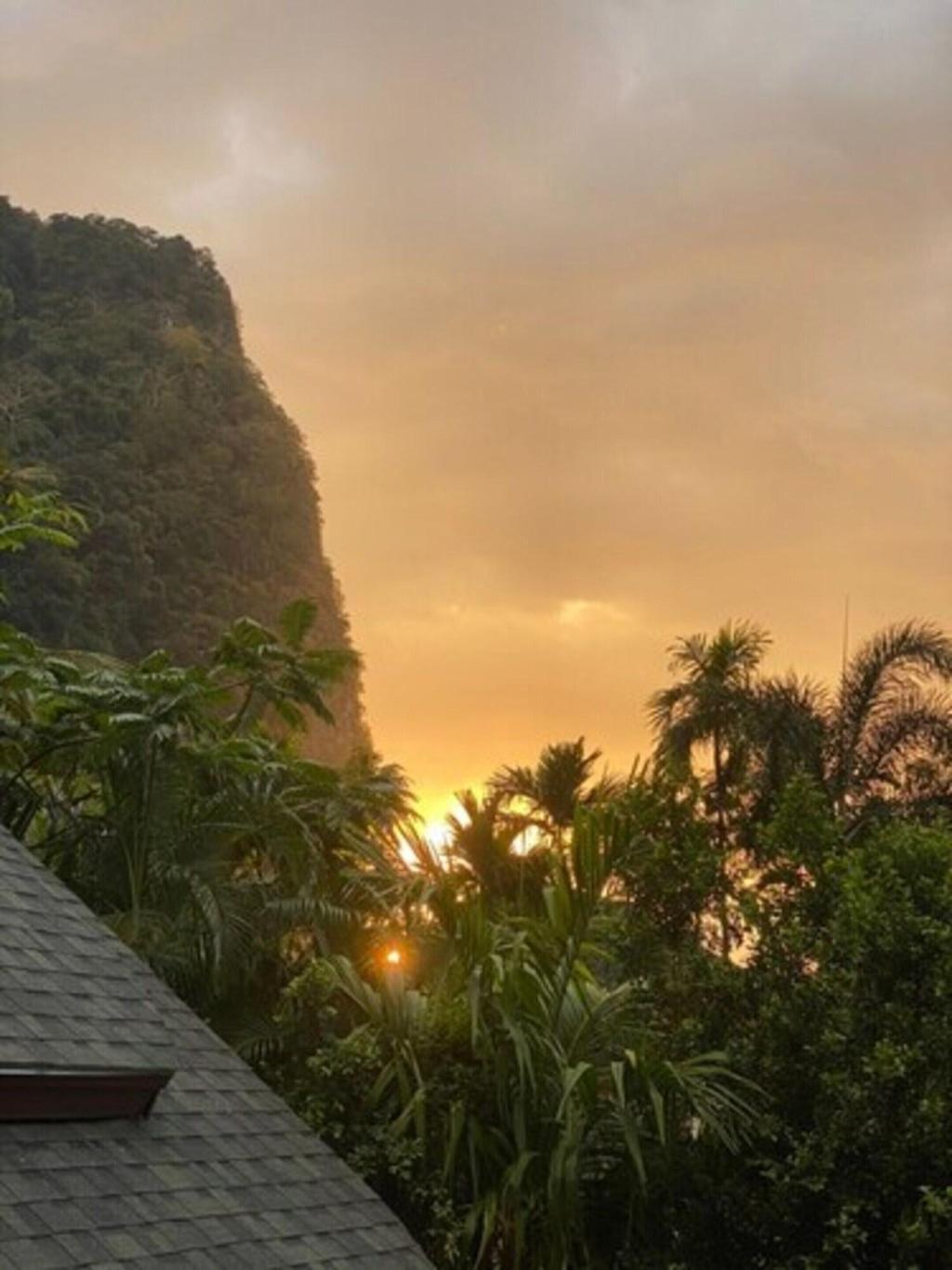 The Scene Cliff View Villas