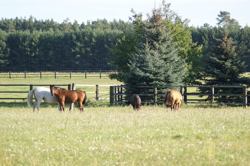 Ferien Hotel Flaming