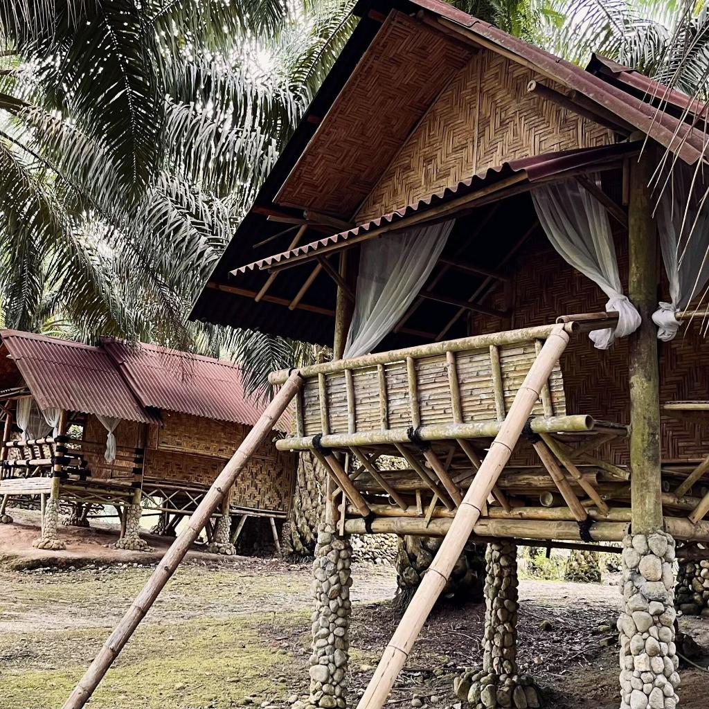Sahom Valley Resort - Agro & Eco