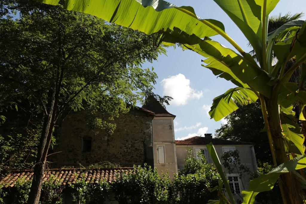 Chateau Saint Martin