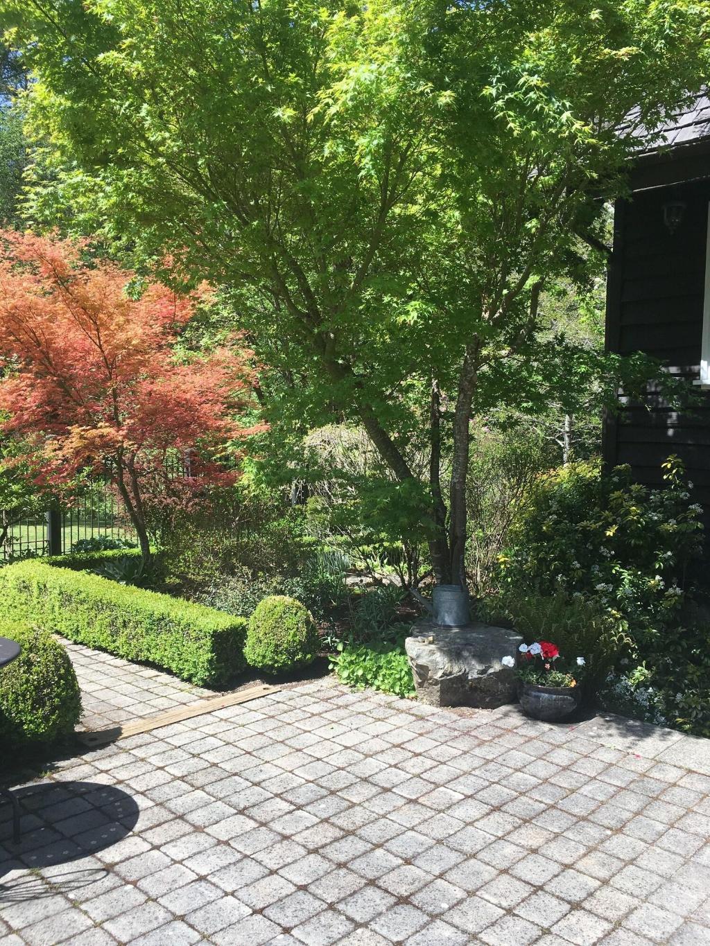 Amante Luxury Bed And Breakfast