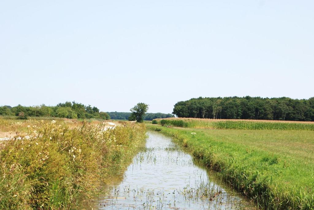 B&B Zandhuizen