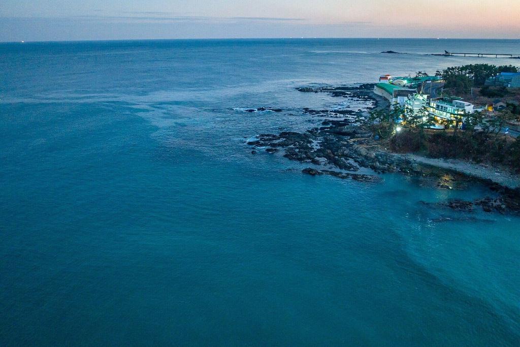 Pohang Pinewave Sea & Spa Pension - General view
