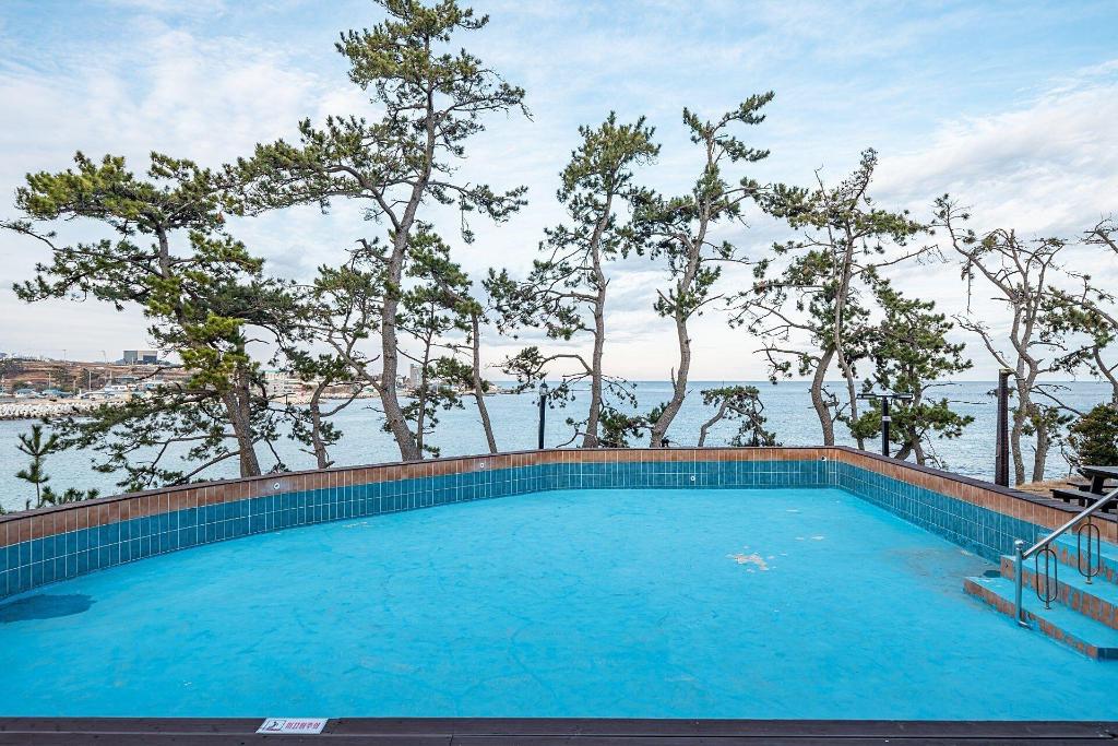 Pohang Pinewave Sea & Spa Pension - General view